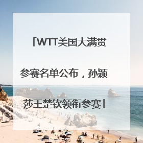 WTT美国大满贯参赛名单公布，孙颖莎王楚钦领衔参赛