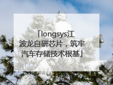 longsys江波龙自研芯片，筑牢汽车存储技术根基